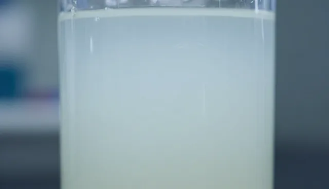 提升生产稳定性,技术服务如何保障质量控制